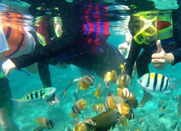 Words from Our Satisfied Clients